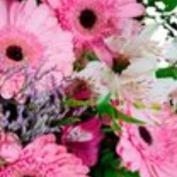 Buqu� de g�rberas e alstroem�rias Minha Paix�o