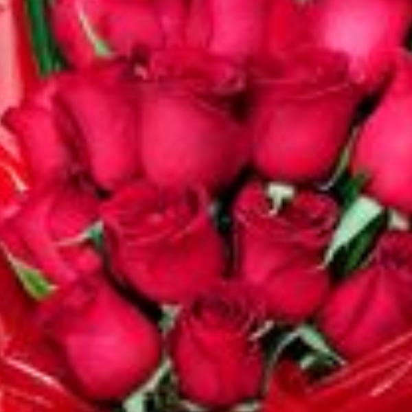 Buqu� Cora��o 15 rosas
