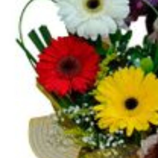 Caixa Feliz Anivers�rio