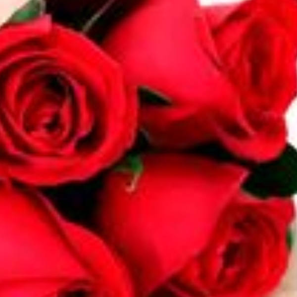 Buqu� 4 rosas no Kraft