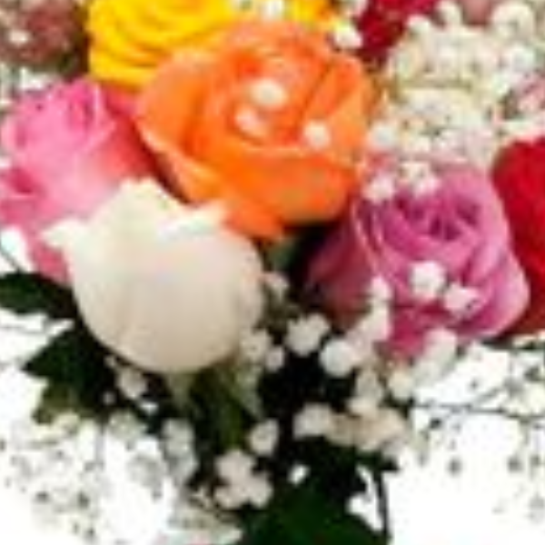 12 rosas coloridas no vaso Ver�o